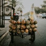 Destino: República Dominicana! Passeios incríveis o ano todo.