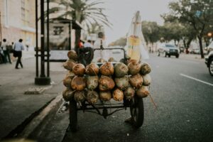 Leia mais sobre o artigo Destino: República Dominicana! Passeios incríveis o ano todo.